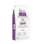 Brit Care GF Giant Salmon & Potato 3Kg
