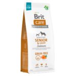 brit senior salmon