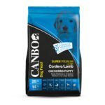 Canbo Cachorro Cordero Razas Medianas y Grandes