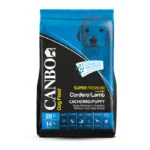 Canbo Cachorro Cordero Razas Medianas y Grandes