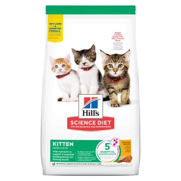 Hills SD Kitten , gatitos