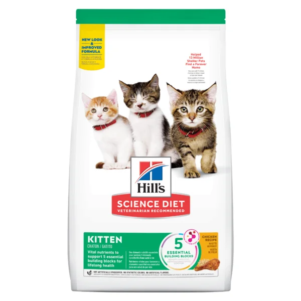 Hills SD Kitten , gatitos