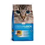 Intersand Odour Lock