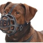 Kruuse Bozal Extreme de Caucho para perro (Original)