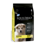 Equilibrio Puppies All Breeds
