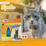 Fiproler Pipeta Contra Pulgas y Garrapatas - Gatos