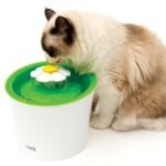 CAT IT fuente de agua para gato