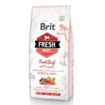 Brit Fresh Beef & Pumpkin Puppy Large