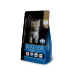 Matisse Filhotes - Gatitos 1 - 12 Meses