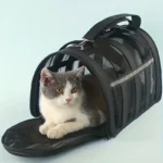 bolsa para viaje