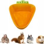 BOWL/PLATO DE CONEJO