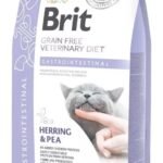 brit gastrointestinal gato