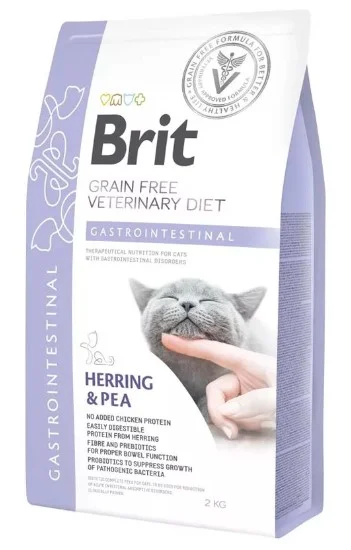 brit gastrointestinal gato