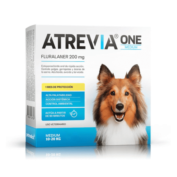 atrevia one medium