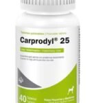 Carprodyl 25 MG X 40 TAB (Carprofeno) 11kg.