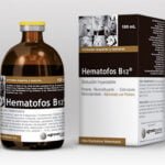 Hematofos B12