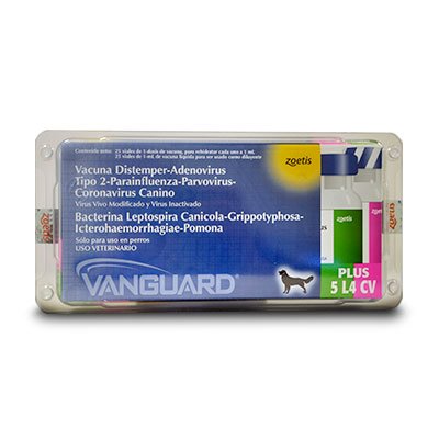 Vanguard Plus 5 CV/L4