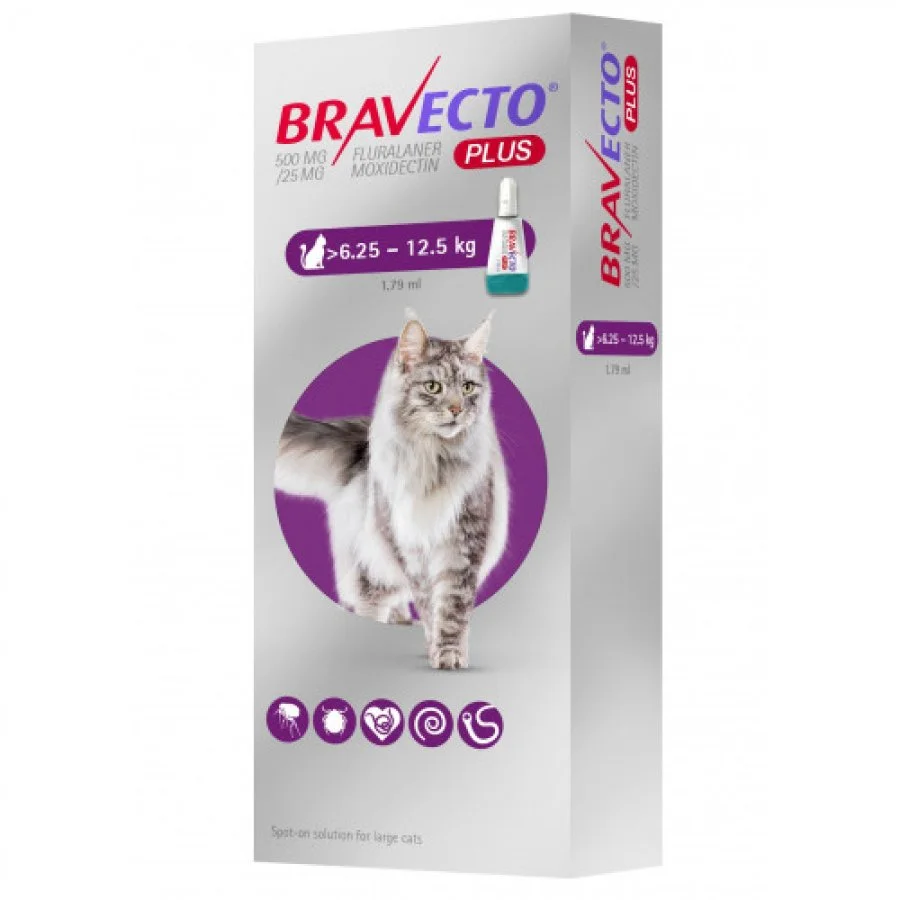 bravecto plus 500mg spot on cats 625kg 125kg