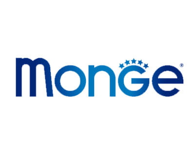 monge1 1