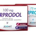 Carprodol - Carpofeno 100 mg x 21 comprimidos