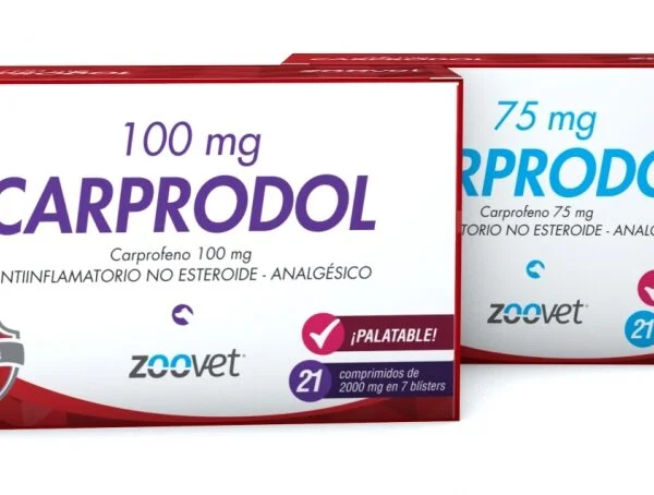Carprodol - Carpofeno 100 mg x 21 comprimidos