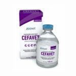 Cefavet X 100 ML 