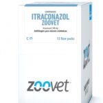 Itraconazol Zoovet 100 MG
