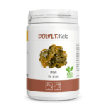 dolvet kelp