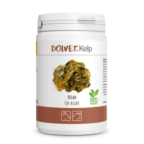 dolvet kelp