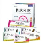 P.I.P. PLUS