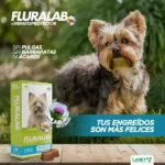 Perrito feliz después de consumir Fluralab