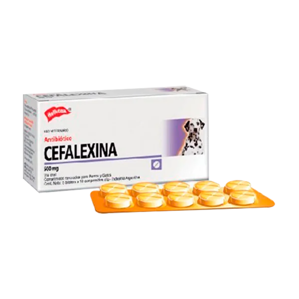 Cefalexina 500 Mg - 300 Comprimidos