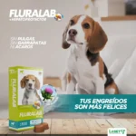 perro al que le aplican antipulga fluralab