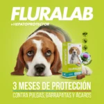 perro mirando como le aplican su antipulga