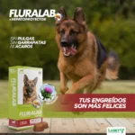 perro corriendo con su antipulga