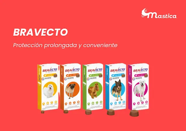 Bravecto Protección prolongada y conveniente