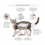 Feline Endospot (Interno) - Imagen 2