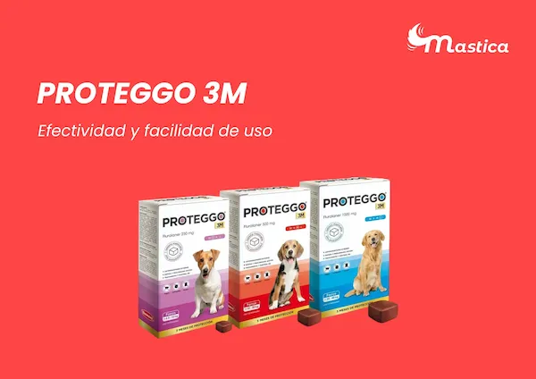 Proteggo Efectividad y facilidad de uso