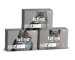 Feline Endospot (Interno)
