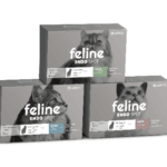 Feline Endospot (Interno)