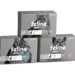 Feline Endospot (Interno)