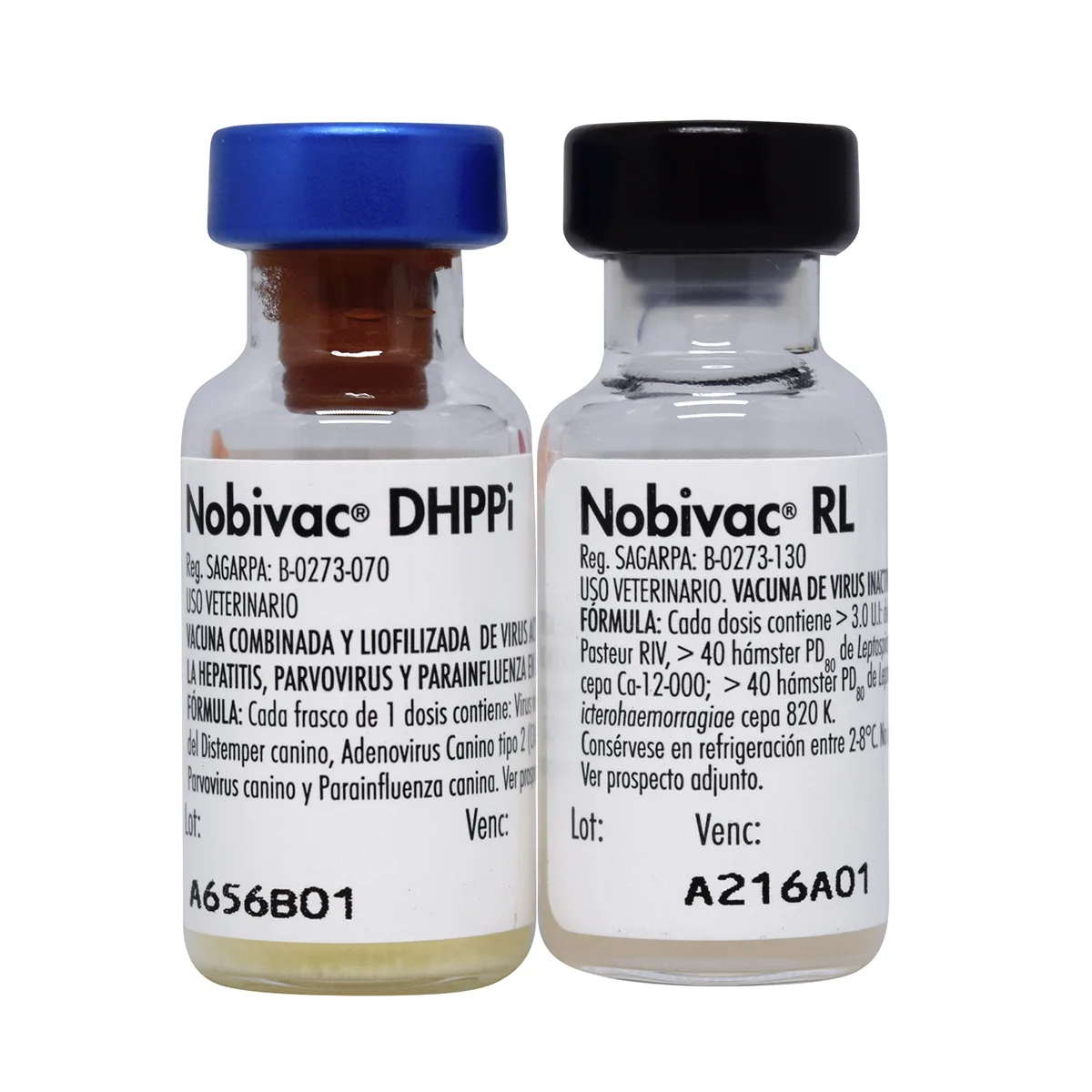 msd vac nobivac dhppi rl 1