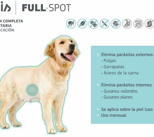 Infografía con información sobre los beneficios de Canis Fullspot