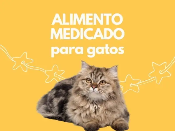 Tienda de alimento medicado para gatos