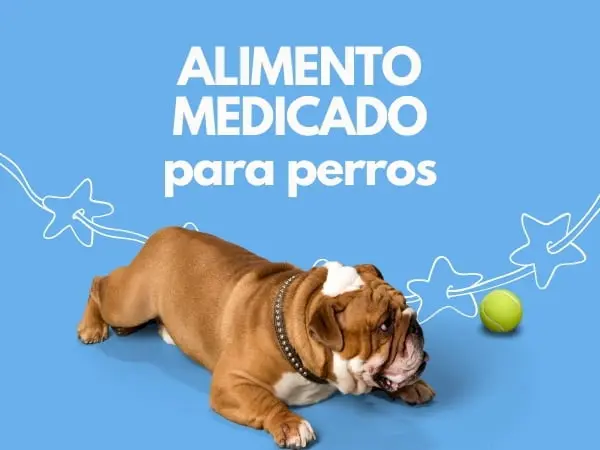 Tienda para mascotas que vende alimento medicado para perros