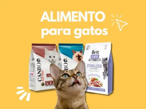 Tienda para mascotas que vende productos para gatos