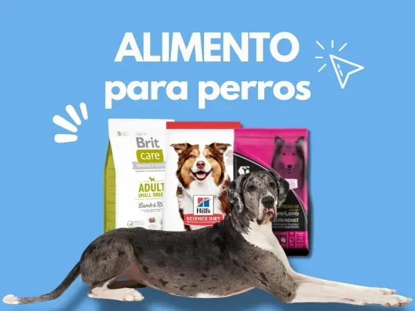 Tienda para mascotas que vende alimento para perros