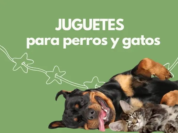 Tienda de mascotas que vende juguetes para perros y gatos
