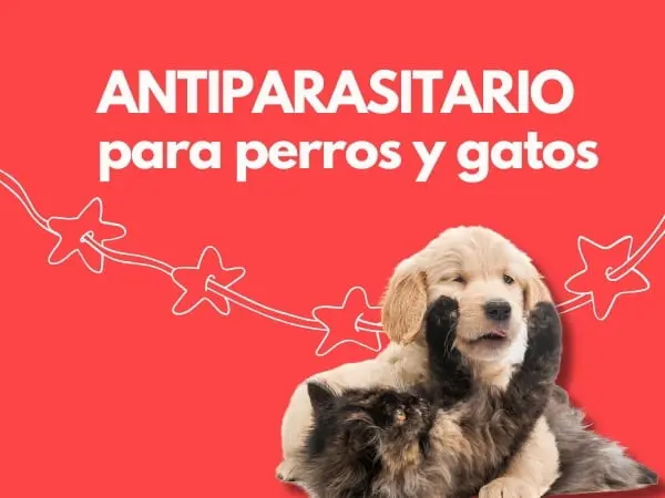 Tienda para mascotas en Lima