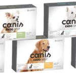 Canis Endospot